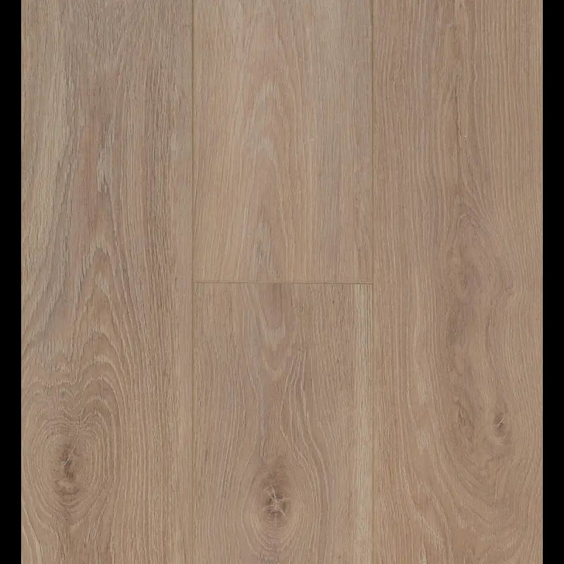 Bloom Light Brown Connect 8 V4 Connect