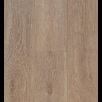 Bloom Light Brown Connect 8 V4 Connect