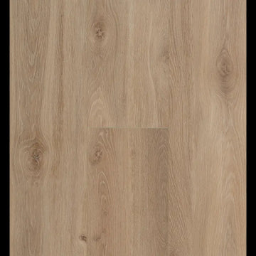 Bloom Light Brown Connect 8 XL Connect