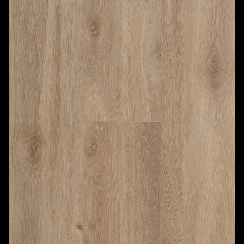 Bloom Light Brown Connect 8 XL Connect