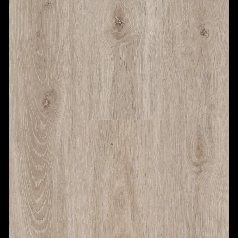 Bloom Light Natural Connect 8 Connect