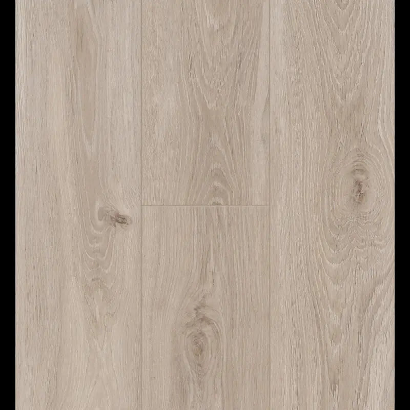 Bloom Light Natural Ocean 8 V4 ocean+