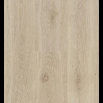 Bloom Sand Natural Connect 8 Connect