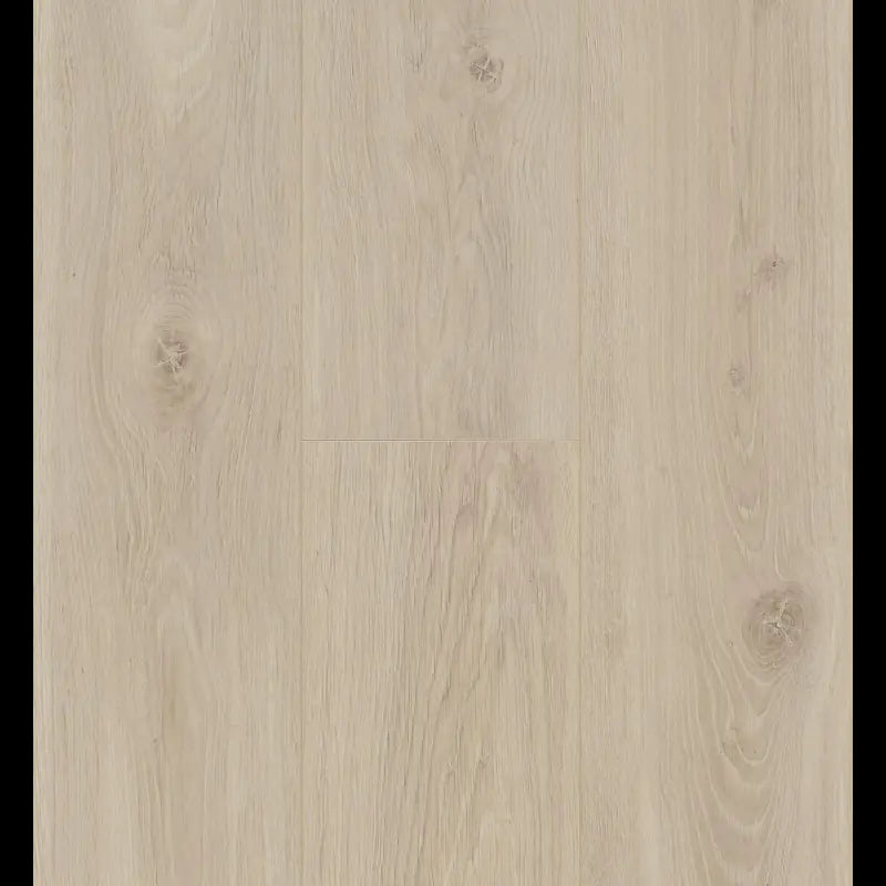 Bloom Sand Natural Ocean 12 V4 ocean+