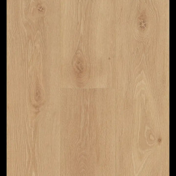 Bloom Warm Natural Ocean 8 V4 ocean+