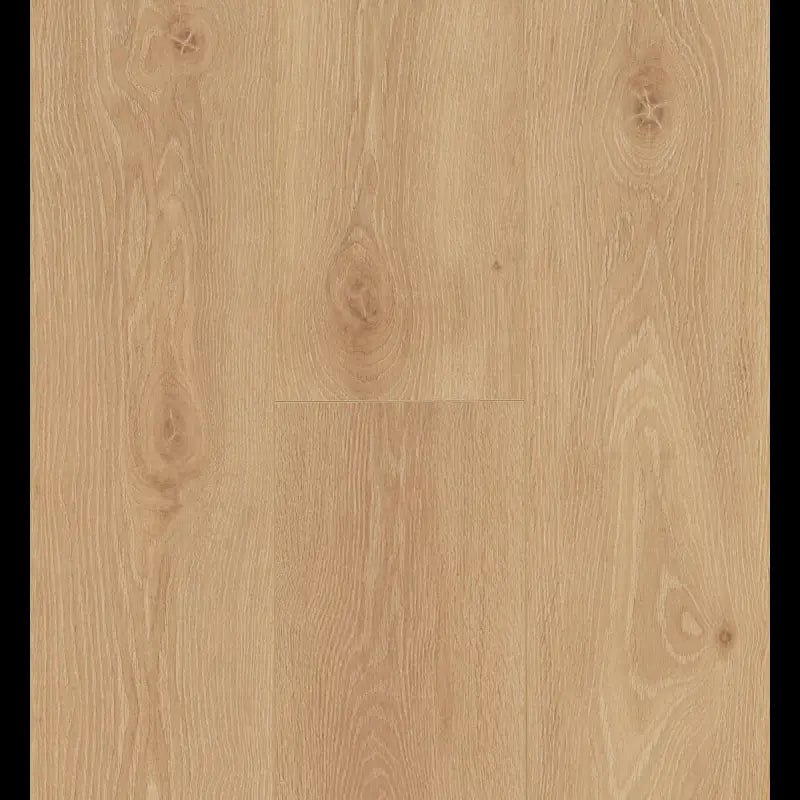 Bloom Warm Natural Ocean 8 V4 ocean+