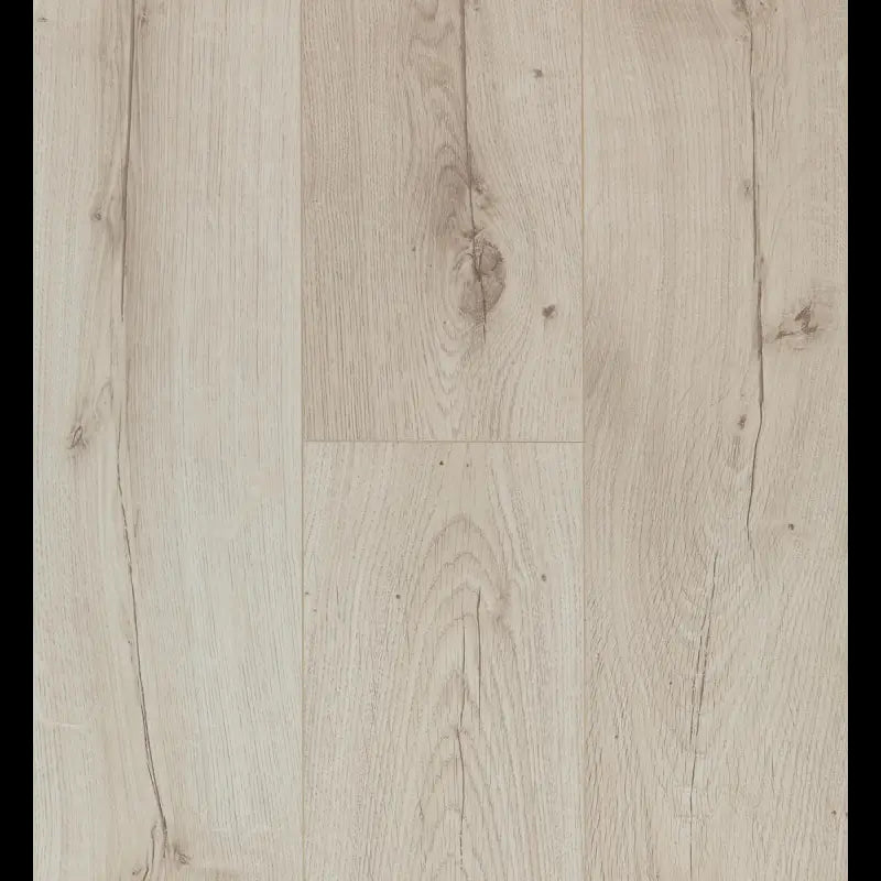 Canyon Light Connect 8 V4 Connect