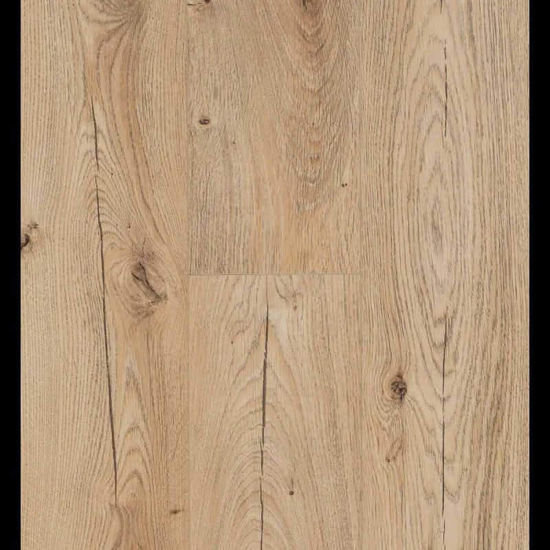 Canyon Natural Connect 8 V4 Connect