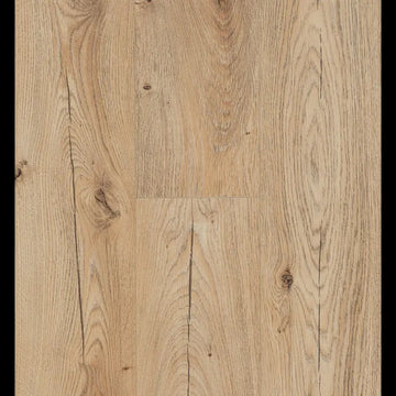 Canyon Natural Connect 8 V4 Connect