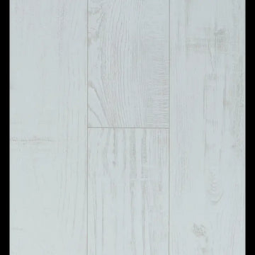 Chestnut White Connect 8 V4 Connect