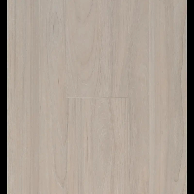 Elm Light Connect 8 V4 Connect