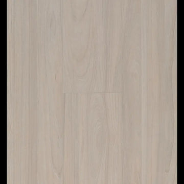 Elm Light Connect 8 V4 Connect