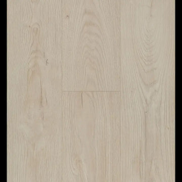 Epic Light Connect 8 V4 Connect