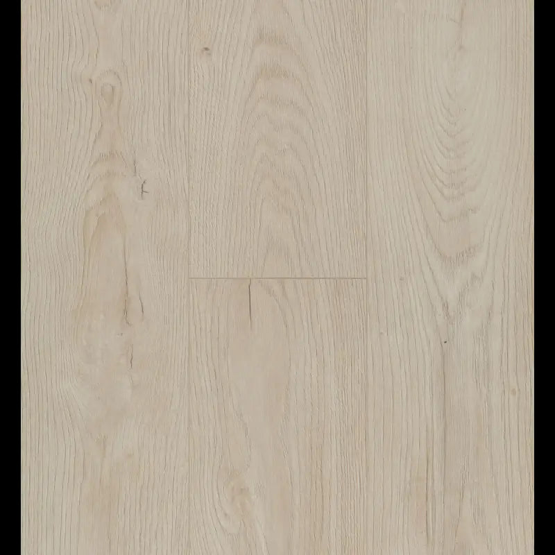 Epic Light Connect 8 V4 Connect