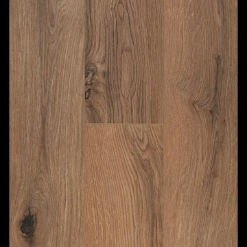 Gyant Brown Natural Connect 8 V4 Connect