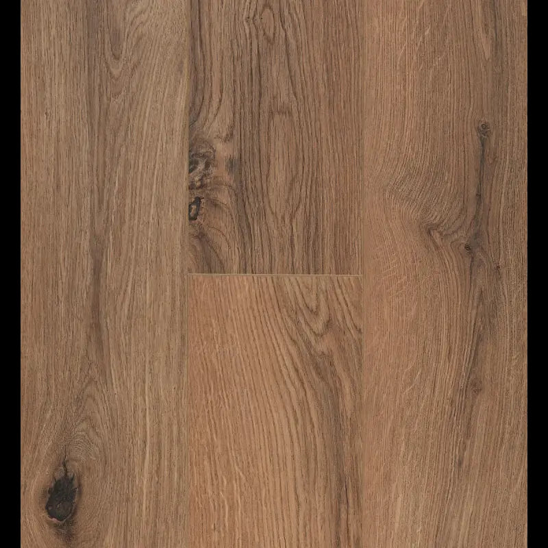 Gyant Brown Natural Connect 8 V4 Connect