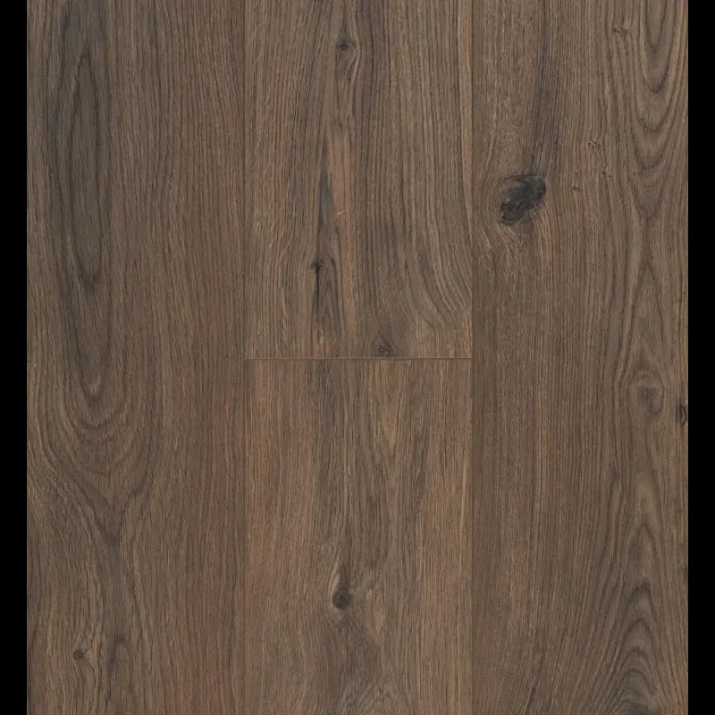 Gyant Dark Brown Ocean 8 V4 ocean+