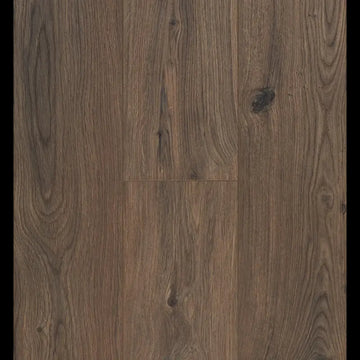 Gyant Dark Brown Ocean 8 V4 ocean+