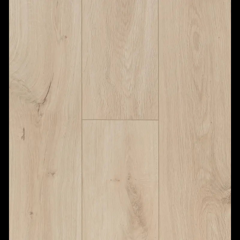 Gyant Light Sand Ocean 12 V4 ocean+