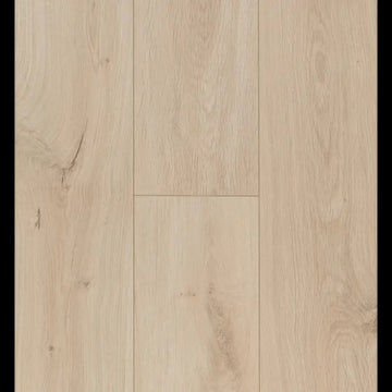 Gyant Light Sand Ocean 8 V4 ocean+