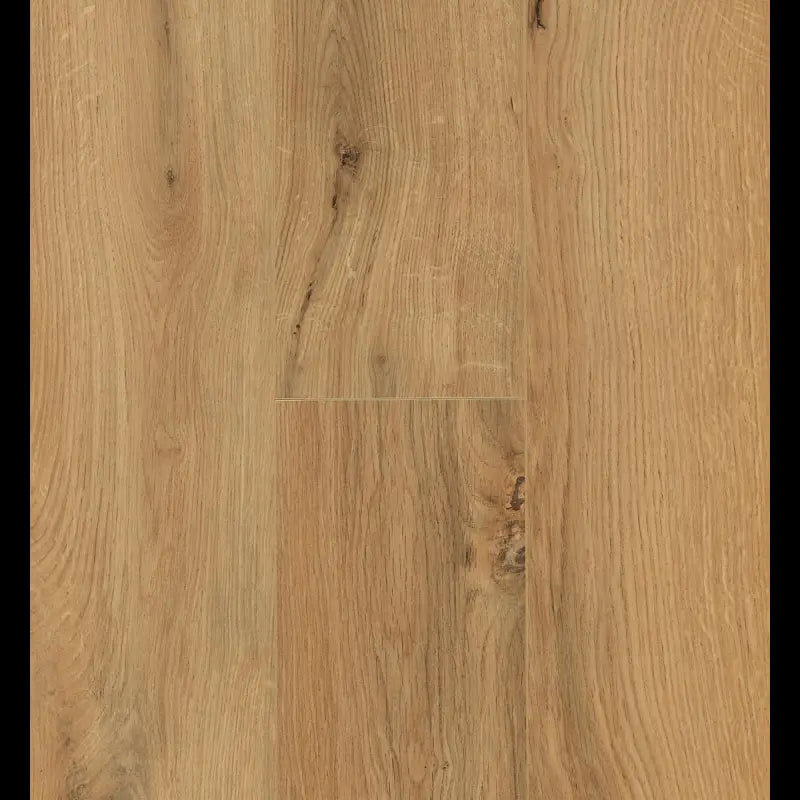 Gyant Natural Ocean 8 V4 ocean+