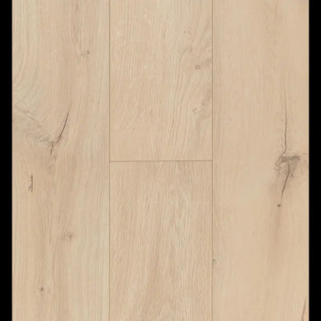 Gyant Sand Natural Connect 8 V4 Connect