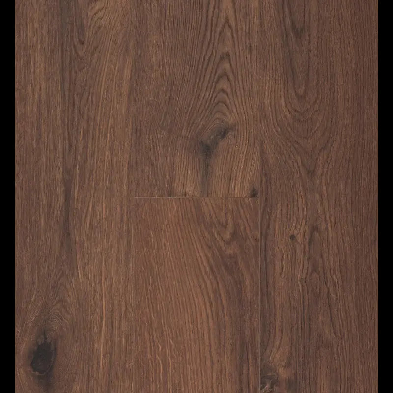 Gyant Warm Brown Ocean 12 V4 ocean+