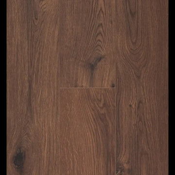 Gyant Warm Brown Ocean 8 V4 ocean+