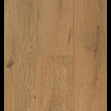 Gyant Warm Natural Connect 8 V4 Connect