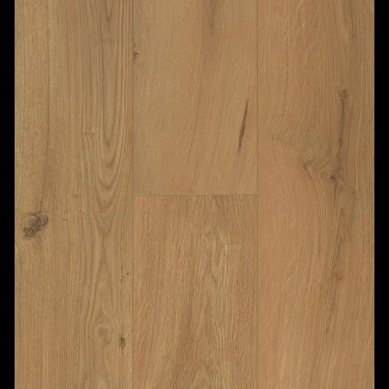 Gyant Warm Natural Ocean 8 V4 ocean+