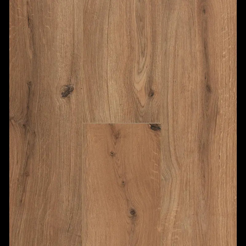 Gyant Xl Brown Natural Connect 8 XL Connect