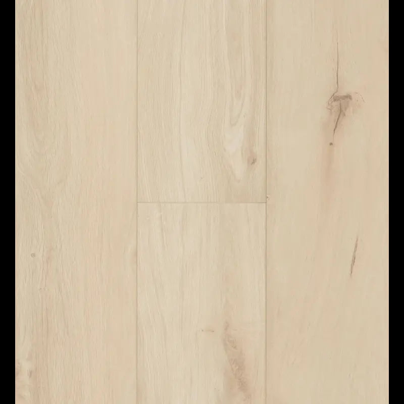 Gyant Xl Light Sand Ocean 8 XL ocean+