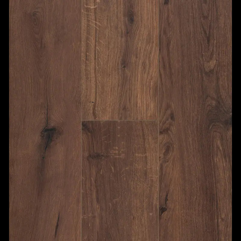 Gyant Xl Warm Brown Connect 8 XL Connect