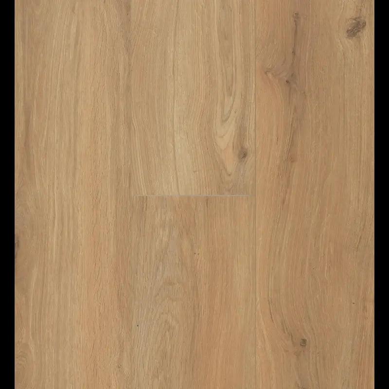 Gyant Xl Warm Natural Connect 8 XL Connect