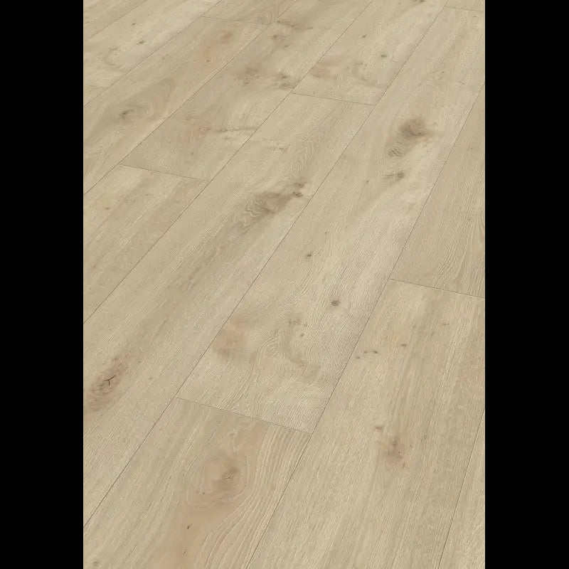 Dab Atacama 06380 - LL 250