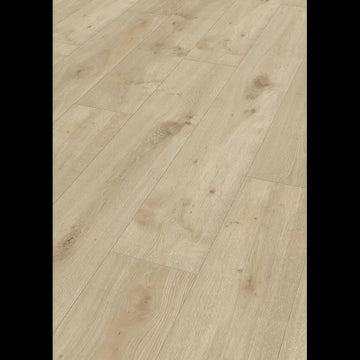 Dab Atacama 06380 - LL 250