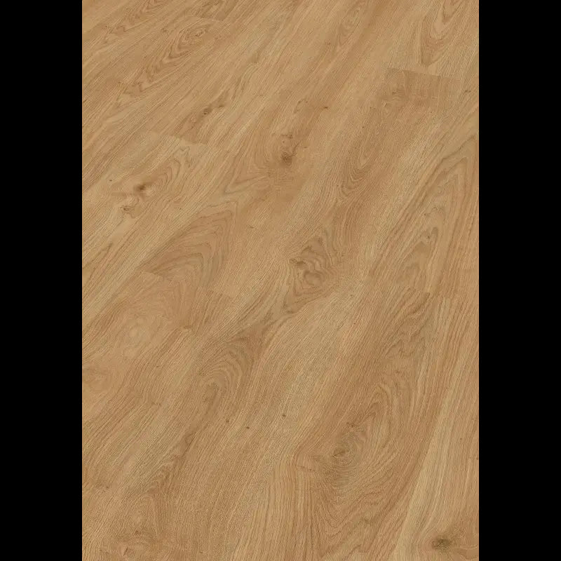 Dab brzegowy miód 07127 - LC 150