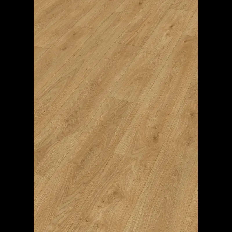 Dab brzegowy miód 07127 - LD 250