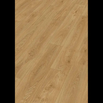 Dab brzegowy miód 07127 - LD 250