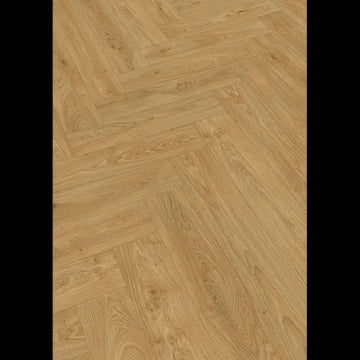 Dab brzegowy miód 07127 - LS 350