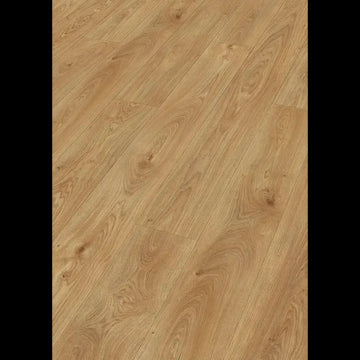 Dab brzegowy naturalny 07117 - LL 150