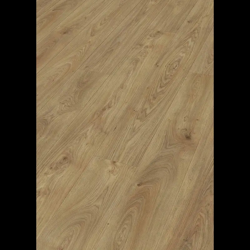 Dab brzegowy parzony 07116 - LL 150