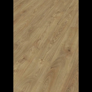 Dab brzegowy parzony 07116 - LL 150