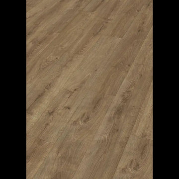 Dab bursztynowy 07002 - LD 150