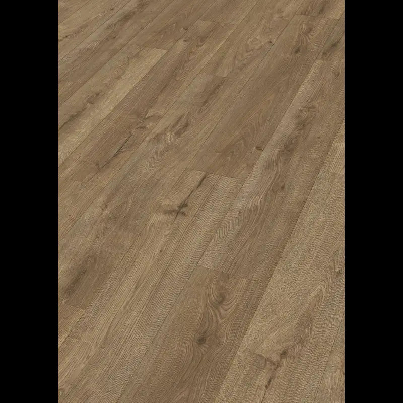 Dab bursztynowy 07002 - LD 250