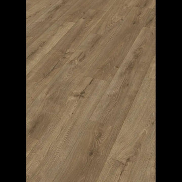 Dab bursztynowy 07002 - LD 250