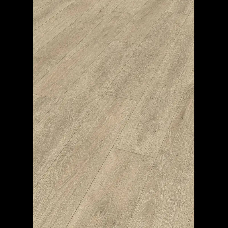 Dab Caledonia 06421 - LD 150