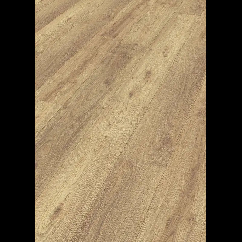 Dab Chiemsee jasny 06376 - LD 150