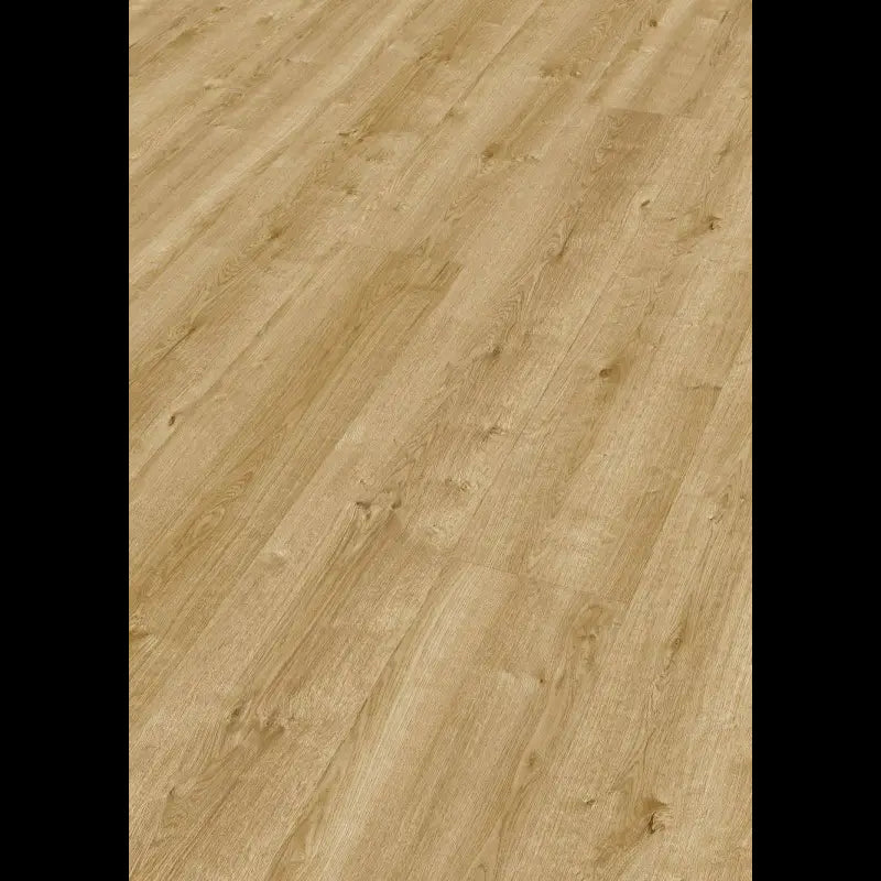 Dab chlopski naturalny 06832 - LL 250