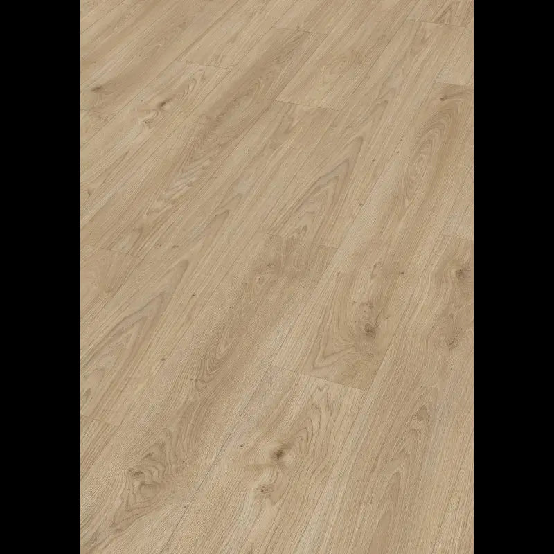 Dab czysty relax 07113 - LD 250